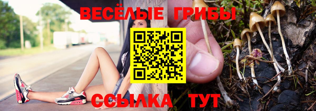 Псилоцибиновые грибы Magic Shrooms Дюртюли